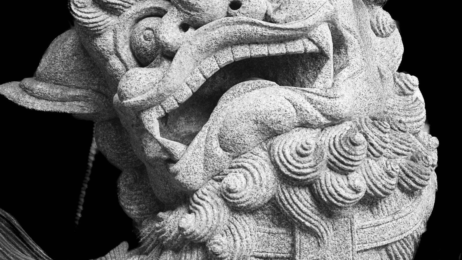 Hướng đặt rồng phong thủy trong nhà, văn phòng